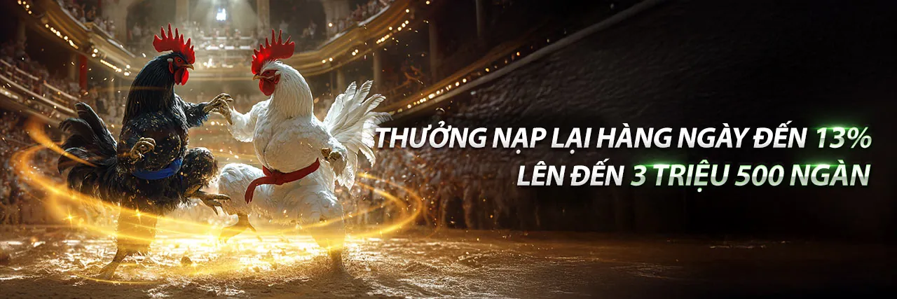 Sân đá gà Thomo sôi động với trận đấu đang diễn ra, người chơi đặt cược